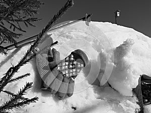 Ski gloves, skis and ski poles in the snow under the tree in winter or spring