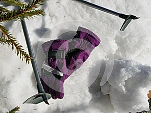 Ski gloves, skis and ski poles in the snow under the tree in winter or spring