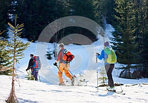Ski group doing touring at winter mountains on a sunny day against forest background