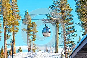 Ski Lift Gondola Against Pine Forest and Blue Sky