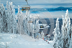 Ski lifts with skiers in the snowy pine forest, Romania