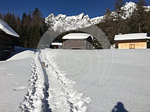 Ski mountaineering  Arlberg