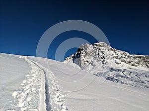 Ski mountaineering on the Girenspitz and Schafberg in St. Antonien with view of the Sulzfluh mountain. Ski tour. Winter
