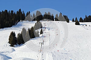 Ski Piste in Austria