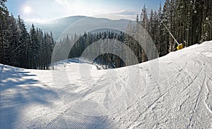 Ski piste among the spruce forest in sunny day