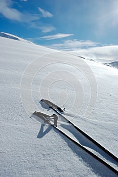 Ski Poles