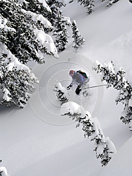 ski powder