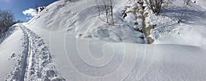 Ski prints on fresh snow covered footpath mountain