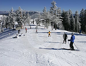 Ski Resort