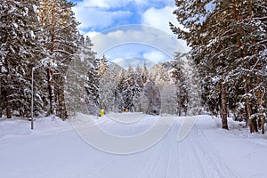 Ski resort Bansko, Bulgaria, groomed ski road