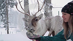 Ski resort entertainments. Young woman and deer in the winter forest. Woman feed deer. Girl feed deer. Deer farm.