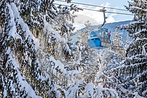 Ski resort, gondola ski lift cabin and pine trees
