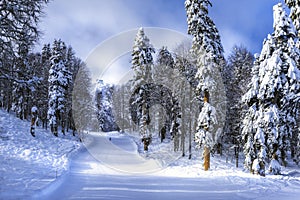 Ski resort Krasnaya Polyana SOCHI