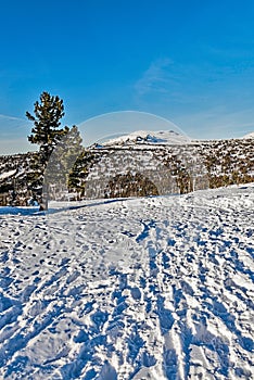 Ski resort Sheregesh, Kemerovo region, Russia.