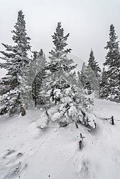 Ski resort Sheregesh, Kemerovo region, Russia.