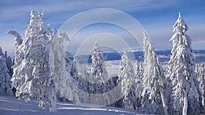 Ski Resort Winter Landscapes, Mountains in Snowing, Alpine Nature View in Wintertime, Conifer Forest Scene in Snow