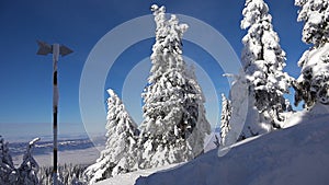 Ski Resort Winter Landscapes, Mountains in Snowing, Alpine Nature View in Wintertime, Conifer Forest Scene in Snow