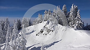 Ski Resort Winter Landscapes, Mountains in Snowing, Alpine Nature View in Wintertime, Conifer Forest Scene in Snow