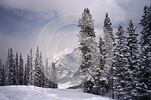 Ski run at Copper Mountain,