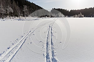 Ski run on the white snow as straight lines - trails, disappearing into the distance to the forest