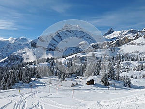 Ski slope in Braunwald and mountain named Ortstock