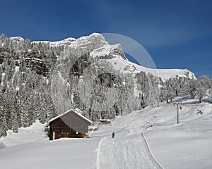 Ski slope and Eggishorn