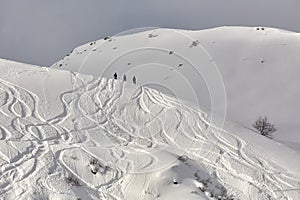 Ski Slope with Fresh Curves