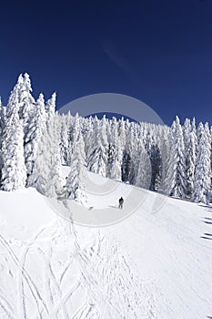 Ski slope on mountain side