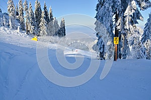 Ski slope in mountain and trees loaded by snow