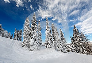 Ski Slope near Madonna di Campiglio Ski Resort, Italian Alps