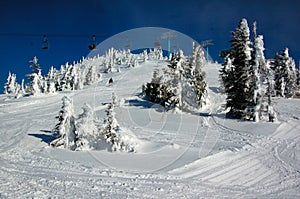 Ski slope in the snow forest