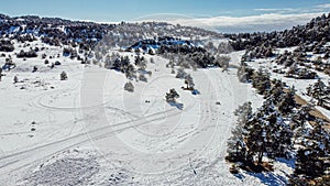 Ski slope and trees covered in snow, drone aerial view in winter