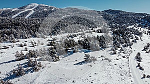 Ski slope and trees covered in snow, drone aerial view in winter