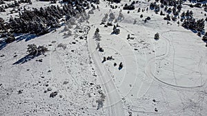 Ski slope and trees covered in snow, drone aerial view in winter