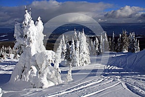 Ski slopes of Silver Star