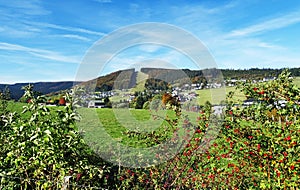 Ski slopes in Willingen in the Sauerland region