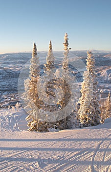 Ski slopes at winter photo