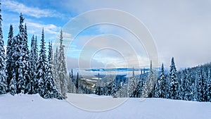 Ski Slopes and a Winter Landscape with Snow Covered Trees on the Ski Hills near the village of Sun Peaks