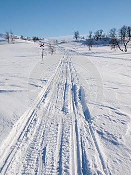 Ski and snow scooter tracks in winter landscape