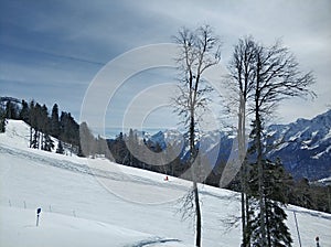 Ski, snowboard resort