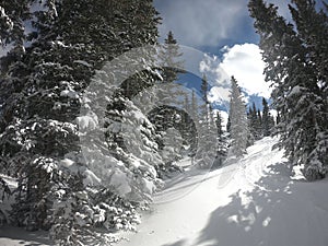 ski and snowboarding in Aspen, Colorado after a storm