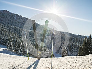 Ski on snowy mountain forest background