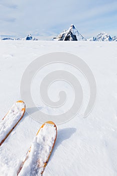 Ski tips, snow field and mountain landscape in background (the M