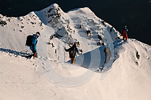 ski tour group of people walk down on winter mountains. Ski touring and freeride concept