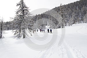 Ski tour in Valle Maira photo