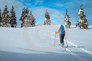 Ski touring in the deep fresh snow, Transylvania, Carpathians, Romania