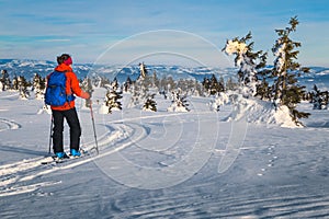 Ski touring in the deep powder snow, Carpathians, Transylvania, Romania