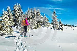 Ski touring in the deep snow, Carpathians, Transylvania, Romania