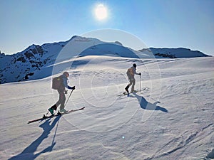 Ski touring group on the ascent to the summit on skis. On the glacier with a view of the Sustenhorn in the Bern Oberland