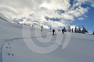 Ski Touring Hokkaido Japan Biei Fuji Blue sky Mountain Scene Forest Snow